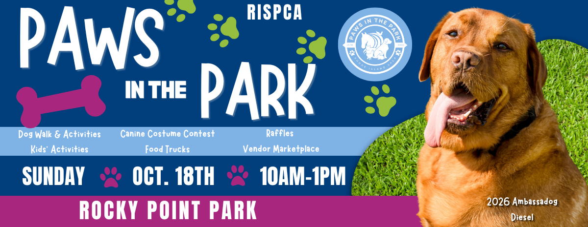 Paws in the Park 2026
